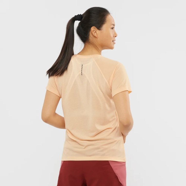 Apricot Salomon Cross Rebel Short Sleeve Women's T-Shirts | IE UY5381